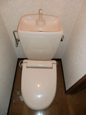 Toilet. It marked with toilet of warm water washing toilet seat