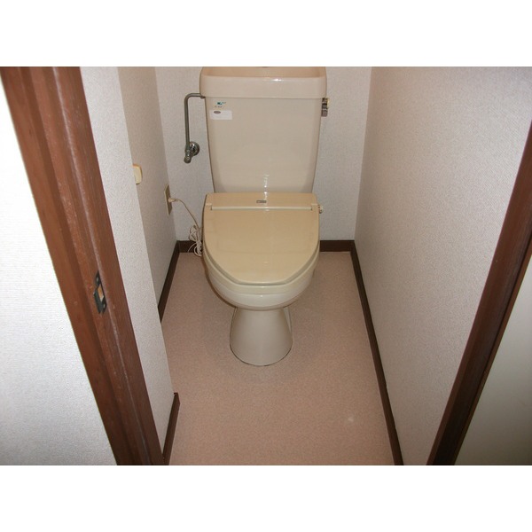 Toilet. Western-style flush toilet