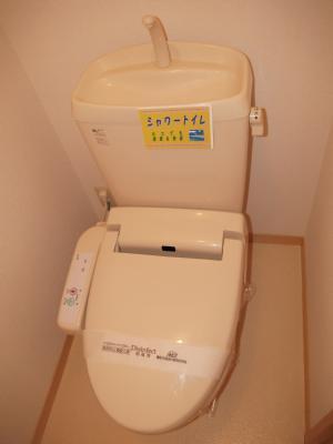 Toilet. Warm water washing toilet seat