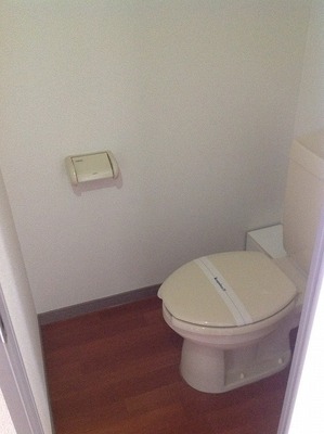 Toilet. Toilets: Spacious