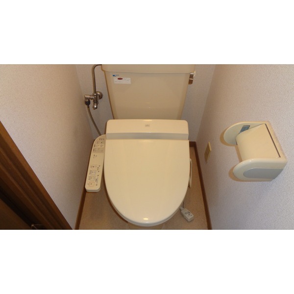 Toilet. Western-style flush toilet