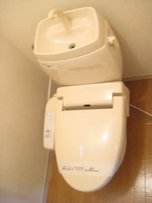 Toilet. Warm water washing toilet seat