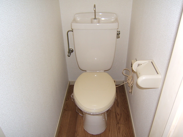 Toilet. loft