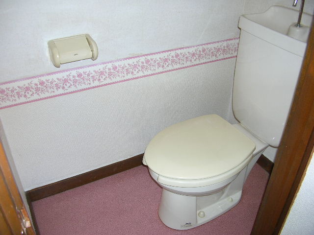 Toilet. Bidet