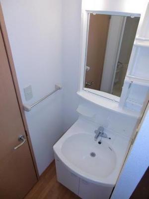 Washroom. Convenient vanity and a