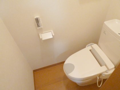 Toilet. Convenient warm water washing toilet seat! 