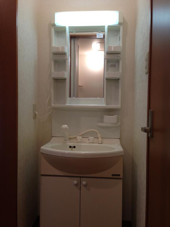 Washroom. Vanity shower