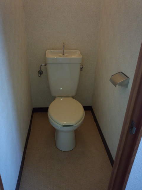 Toilet. Western water