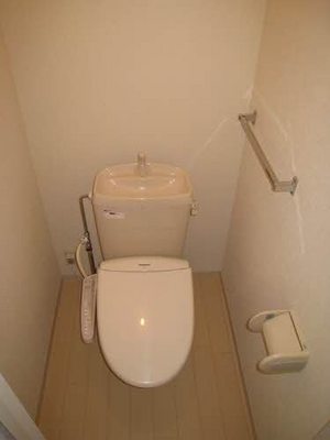 Toilet. Warm water washing toilet seat