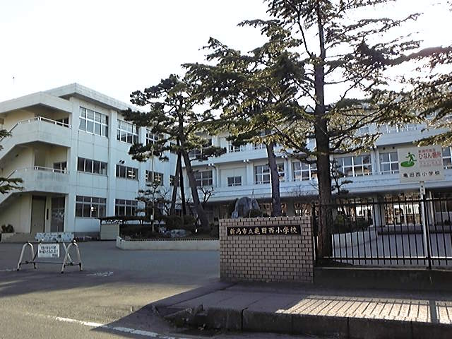Primary school. 443m to Niigata Municipal Nishi Elementary School Kameda (Elementary School)