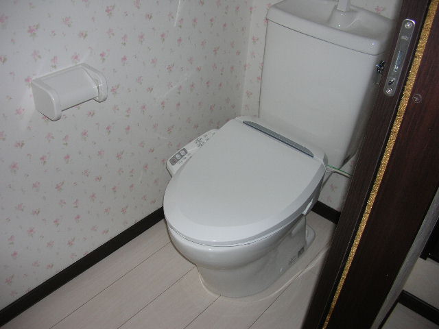 Toilet. Bidet