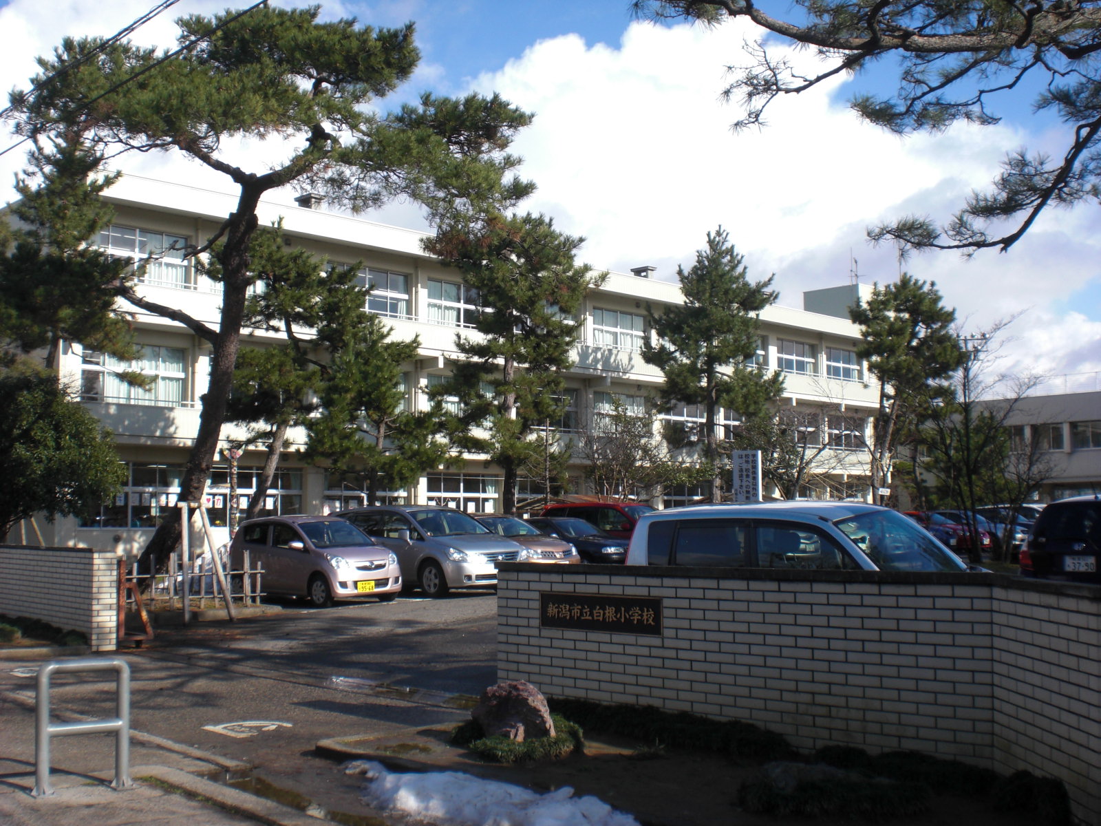 Primary school. 947m to Niigata Municipal Shirane elementary school (elementary school)
