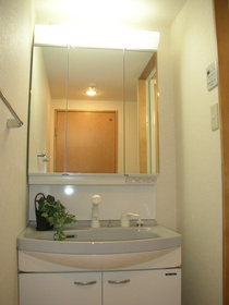Washroom. Three-sided mirror Shampoo dresser