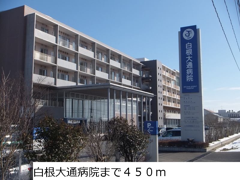 Hospital. 450m to Shirane Odori hospital (hospital)