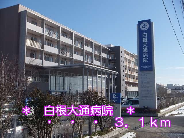 Hospital. 3100m to Shirane Odori hospital (hospital)