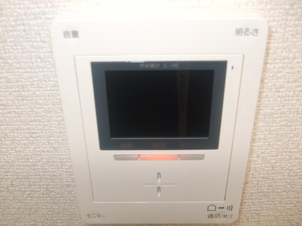 Security equipment. Crime prevention measures in the color intercom
