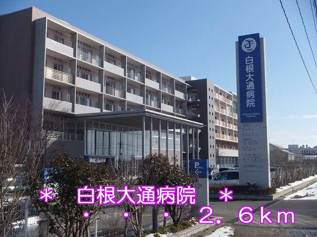 Hospital. 2600m to Shirane Odori hospital (hospital)