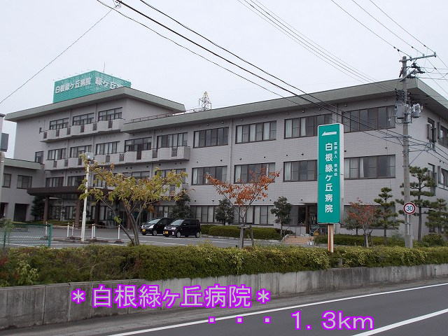 Hospital. Shirane Midorigaoka 1300m to the hospital (hospital)