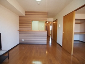 Living and room. Spacious LDK