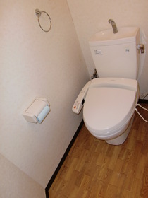 Toilet. Washlet toilet