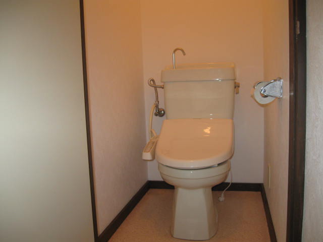 Toilet. Comfortable every day in cleaning toilet seat