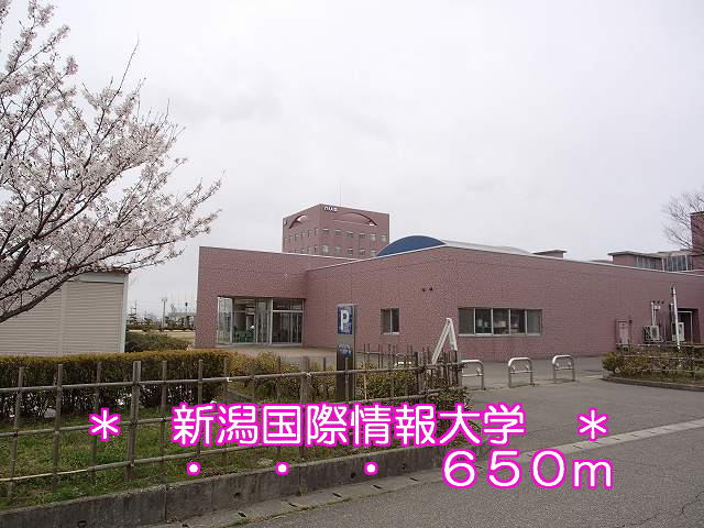 University ・ Junior college. Niigata University of International and Information Studies (University of ・ 650m up to junior college)