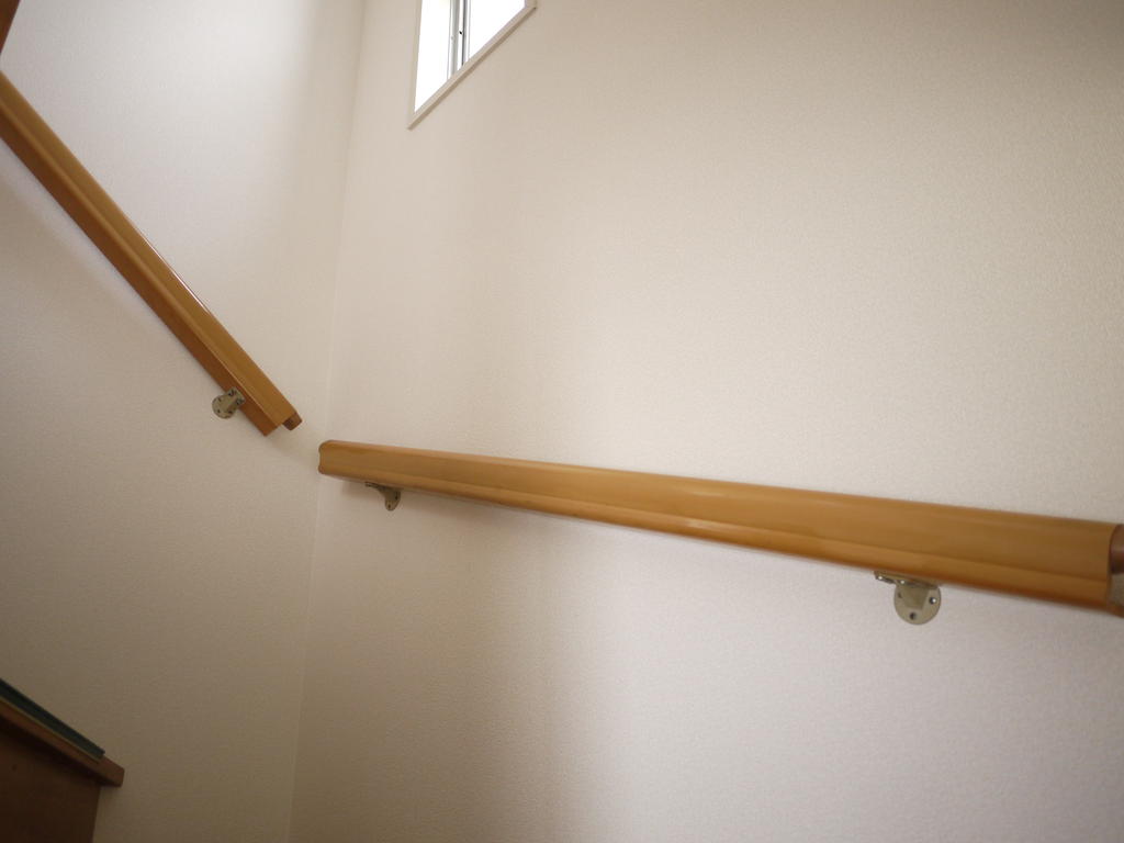 Other. There are handrails on stairs. Elderly worry