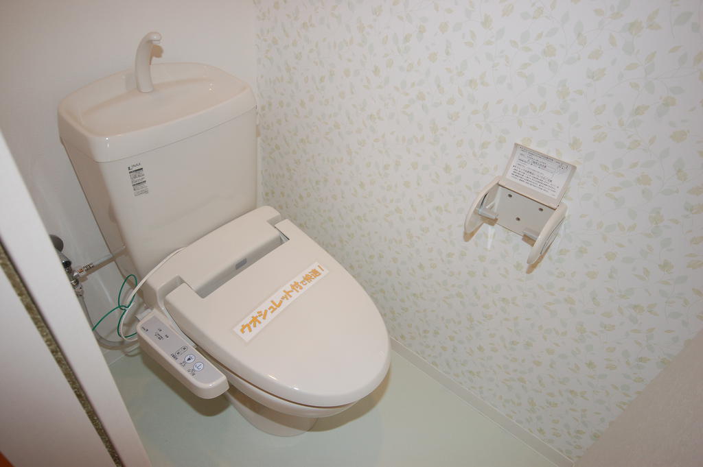 Toilet. Comfortable every day in cleaning toilet seat