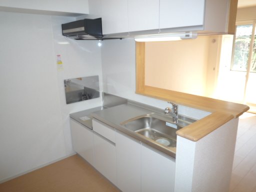 Kitchen. The same type model