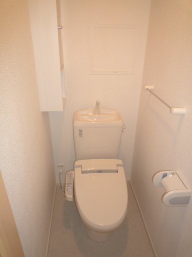 Toilet. The same type model