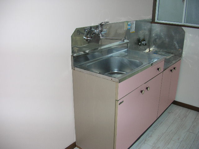 Kitchen. Sink