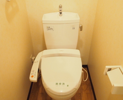 Toilet. Course! It is a warm water washing toilet seat. 