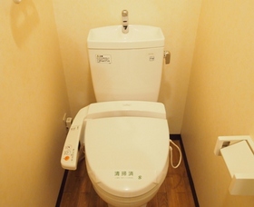 Toilet. It comes with a bidet! 