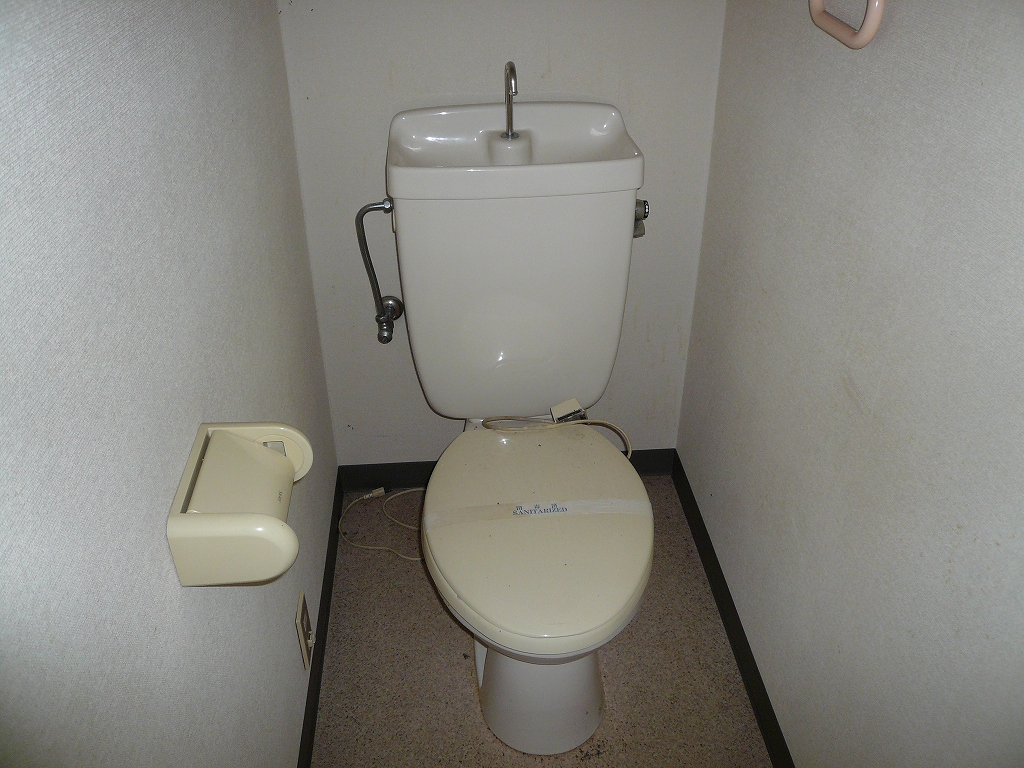 Toilet. Western-style toilet