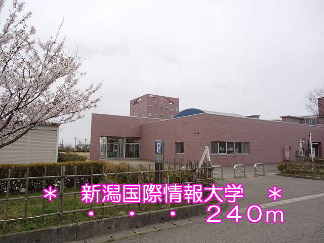University ・ Junior college. Niigata University of International and Information Studies (University of ・ 240m up to junior college)