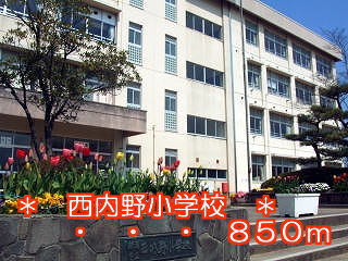 Primary school. 850m to the west infield elementary school (elementary school)