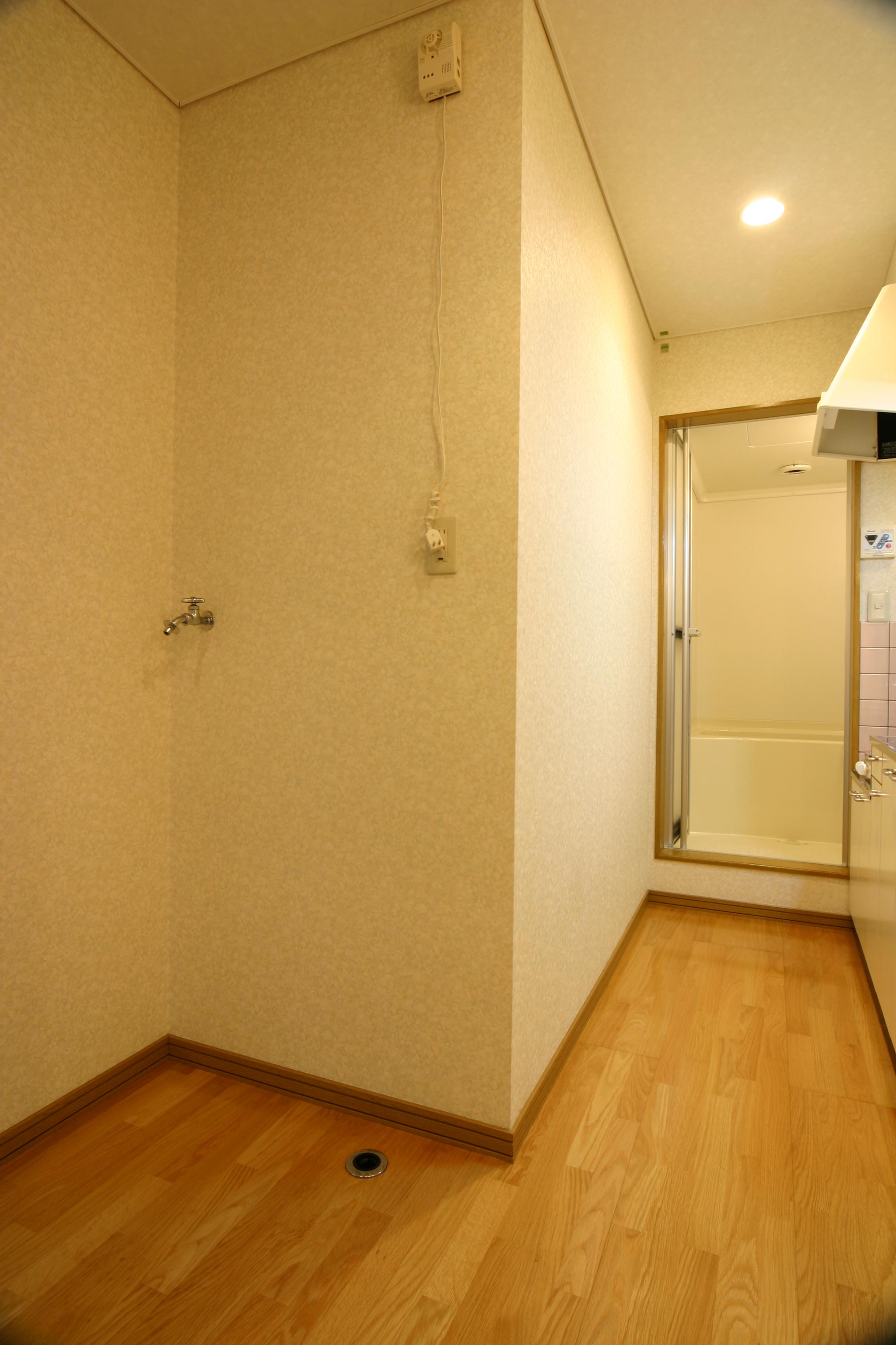 Kitchen. There is indoor washing machine Storage