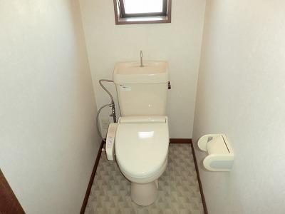 Toilet. Bright toilet light enters