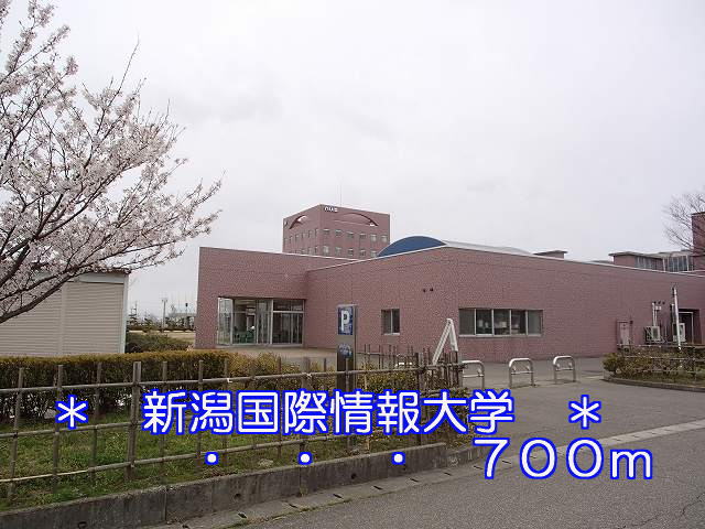 University ・ Junior college. Niigata University of International and Information Studies (University of ・ 700m up to junior college)