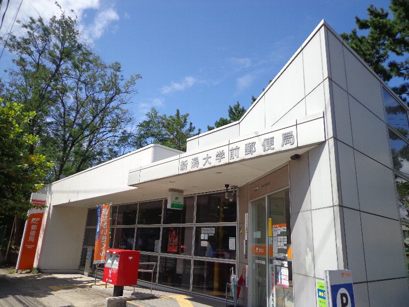 post office. 557m to Niigata University before post office (post office)