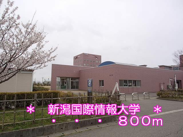 University ・ Junior college. Niigata University of International and Information Studies (University of ・ 800m up to junior college)