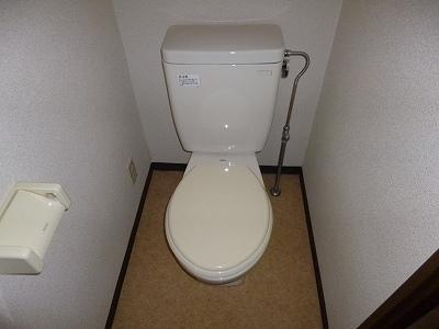 Toilet. It is a toilet with a clean. 