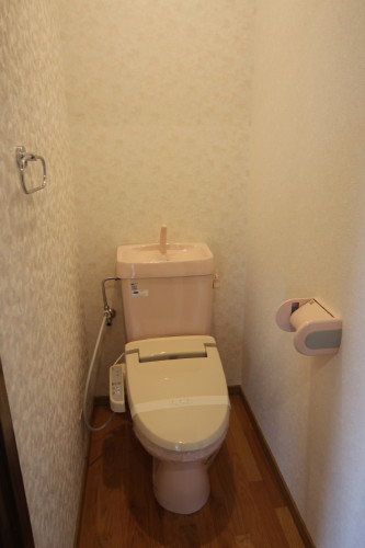 Toilet. With Washlet! 