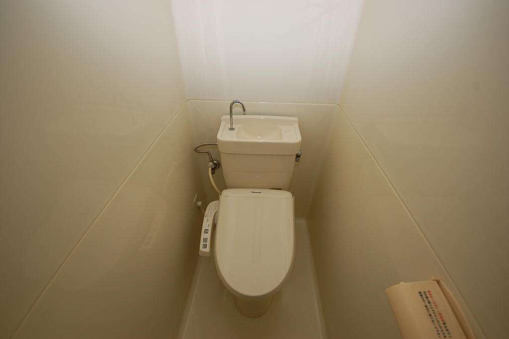 Toilet. Comfortable every day in cleaning toilet seat