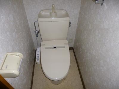 Toilet. It is a toilet with a warm water washing toilet seat