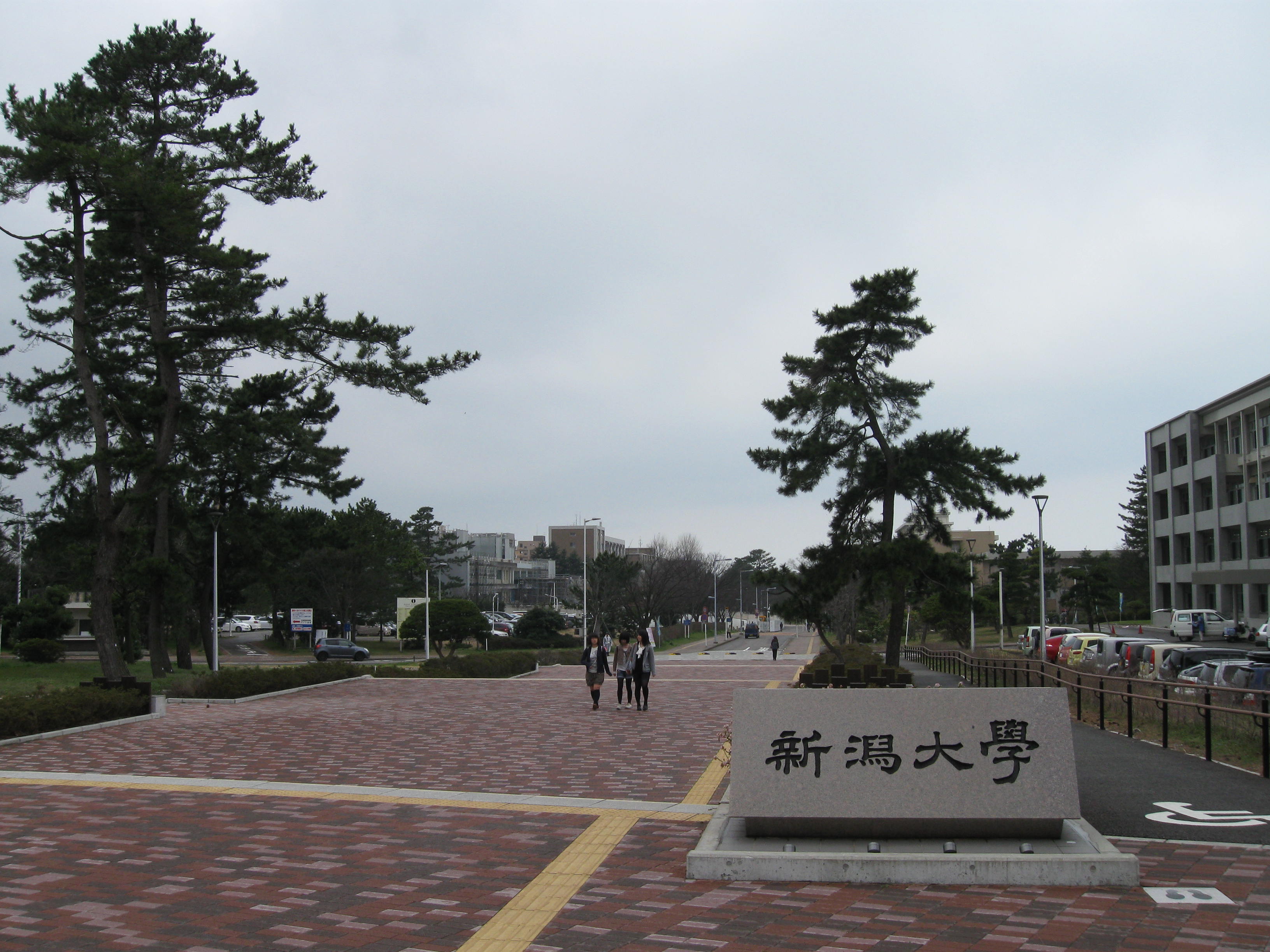 Other. Walk from the Niigata University main gate 6 minutes! 