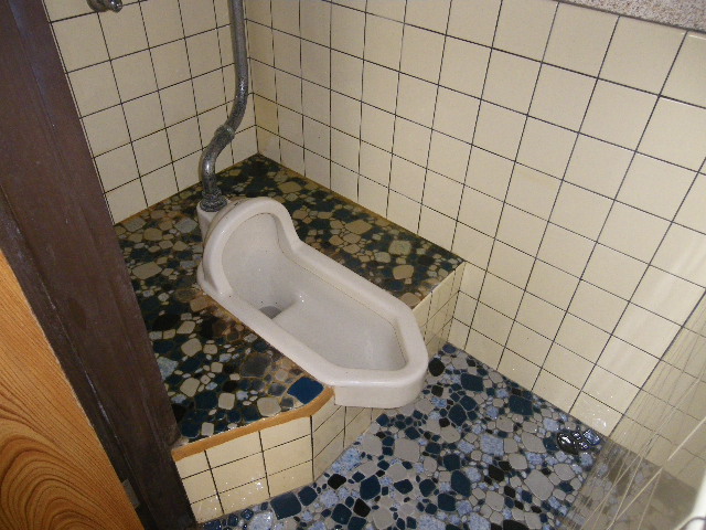 Toilet