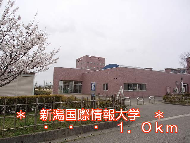 University ・ Junior college. Niigata University of International and Information Studies (University of ・ 1000m up to junior college)