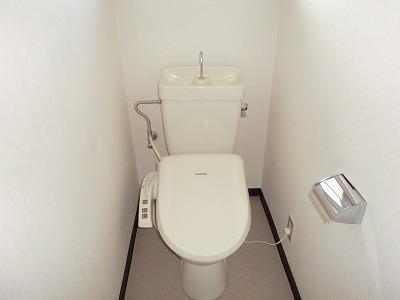 Toilet. It is a toilet with a warm water washing toilet seat