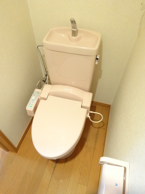 Toilet. It is a warm water washing toilet seat glad to winter